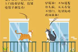 图视绘 |“还好你没放弃”，被疫情困住的留守宠物日记图片