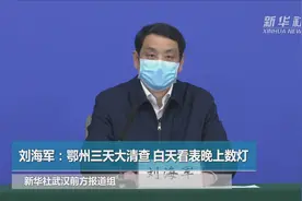 刘海军：鄂州三天大清查 白天看表晚上数灯视频封面