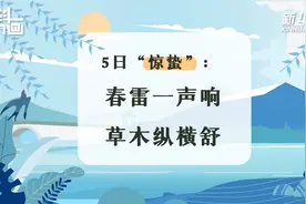 科画·节气 | 5日“惊蛰”：春雷一声响，草木纵横舒视频封面