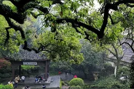 跳绳会减哪里的肉？图片