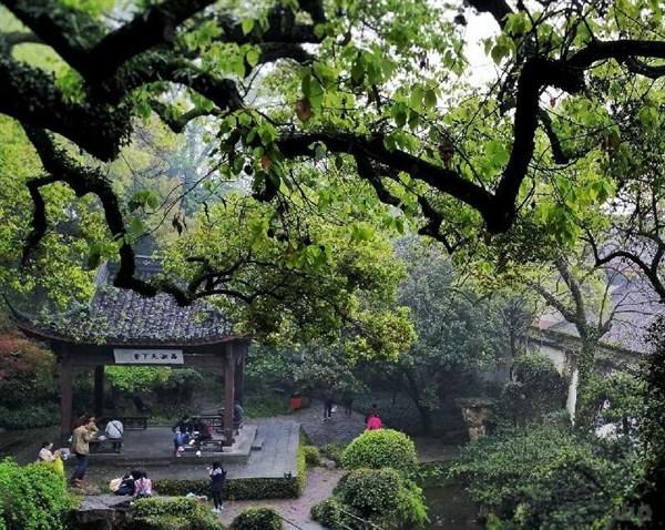 跳绳减肥瘦哪里（跳绳会减哪里的肉）