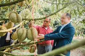 苏宁推客揭秘疫情之下的全民营销：北方肉受宠，南方菜紧俏图片