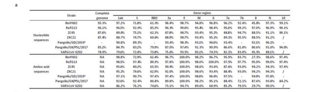 云南一种新蝙蝠冠状病毒力证新冠起源于自然！提示重组线索