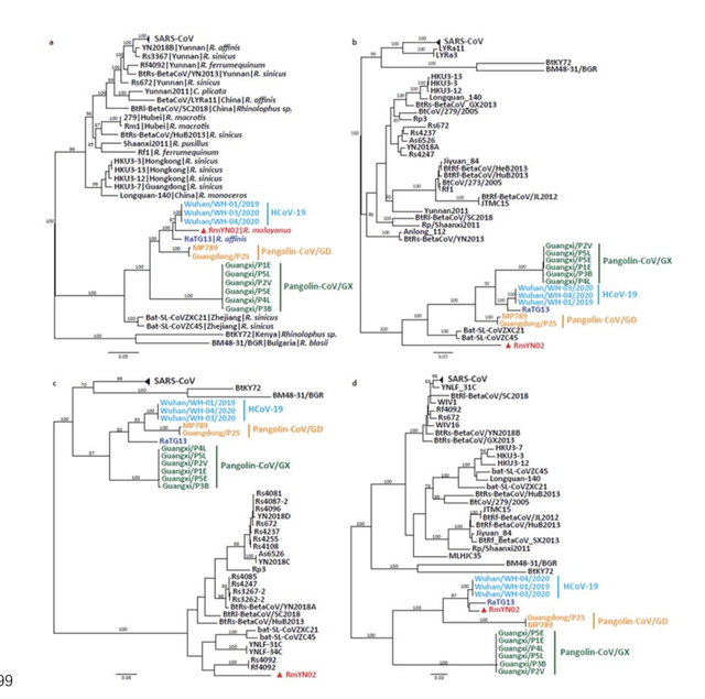 云南一种新蝙蝠冠状病毒力证新冠起源于自然！提示重组线索