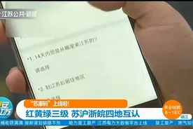 “苏康码”上线啦！红黄绿三级，设置风险等级，苏沪浙皖四地互认视频封面