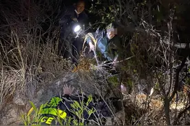 母女在家待着无聊上山野炊迷路，民警消防深夜丛林救援图片