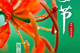 致敬！逆行一线的萨日朗图片
