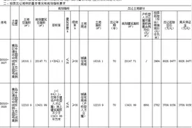 西海岸新区四宗地块底价成交 中德生态园产权型人才公寓销售均价8891元/㎡图片