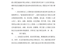 疫情过后还要养殖果子狸？某地政府部门请示报告引关注图片