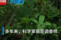 30秒丨科普：雨后的那股味道到底是怎样的存在视频封面