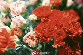 “你应该去爱这山、这水，这世间万物，以及鲜花与你自己图片