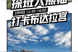 大熊猫来了！青岛动物园推出“云领养”！第三期淘宝直播“云春游”更好玩了图片