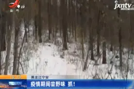 黑龙江宁安：疫情期间尝野味 抓！视频封面
