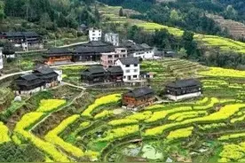 速看！广西征地补偿标准调高了，平均4.4万元/亩图片