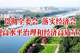 莘县十大计划五大意见工作推进会解读：城市精细化管理篇图片