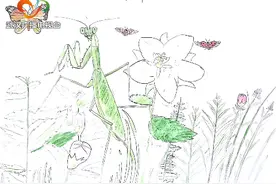 与昆虫有约 武汉经开实验小学“法布尔”手绘昆虫画集图片