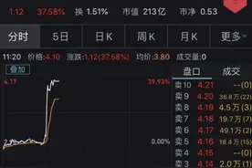 突然狂拉38%！潘石屹要有超级大动作？图片
