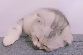 测试专题111图片