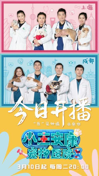 王者荣耀kuro真人（仓鼠骨折如何救治这档真人秀讲述宠物医院故事）