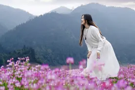 三圣湖畔图片