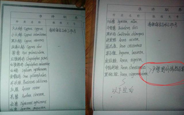 人工繁育野生动物之争：禁不禁、禁哪些、怎么禁