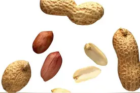 随笔《花生温暖寒冷》作者 徐超图片