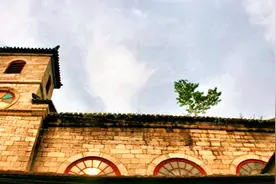 果然视频｜济南将军庙供奉的刘将军，任务竟是消灭蝗虫！视频封面