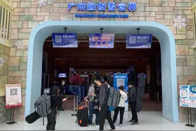 室内娱乐场所也开始开放了，去广州融创雪世界寻找刚刚错过的冬天图片
