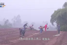 天府大地春耕忙③丨抢农时，务农事，全力守住“米袋子”