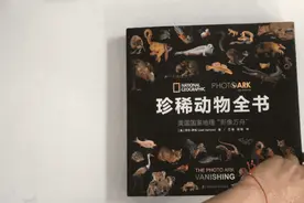 这套含12000种珍稀动物的影集，让孩子认识自然敬畏生命图片
