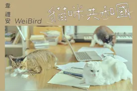 韦礼安为爱猫写歌，采集猫叫放入歌曲图片