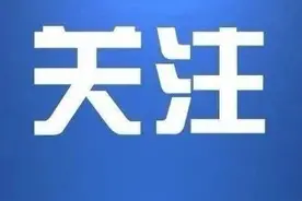 车检到底怎么办？武汉车驾管业务最新消息来了图片