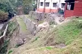 印度警卫穿毛绒服装扮成“大猩猩”吓跑院子里泛滥的猴子视频封面