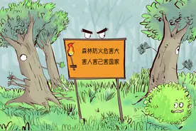 「最提醒」春季森林防火期 这些防火知识你要知道图片