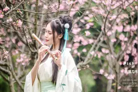 多个樱花节活动取消，天适樱花园、韶关樱花公园等暂未开放图片