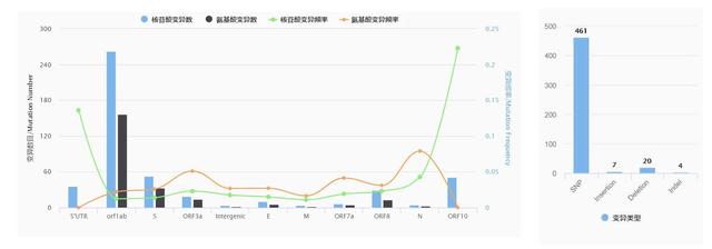 新冠病毒突变为“更强”亚型？最新结论并不如此