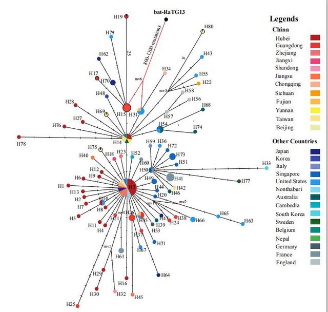 新冠病毒突变为“更强”亚型？最新结论并不如此