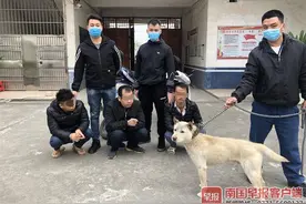 凌晨看到有人遛名犬，宾阳四名男子动了贼心……图片