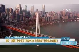 重庆：规模工业企业开工率达99.8% 汽车和电子行业基本全面复工视频封面