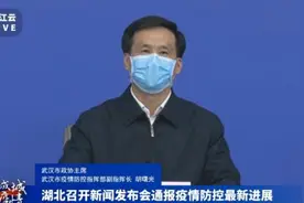 武汉：小区封控时间晚于封城，是“吃了亏的”图片