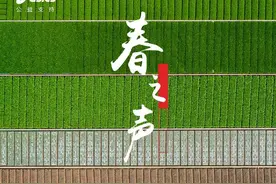 把因不能出门而错过的春天还给你图片