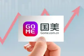 “回归年”资金整合？国美零售获韩亚银行15亿综合授信图片