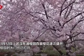 武汉最美的时刻到了！视频封面