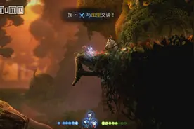 《精灵与萤火意志》攻略：神秘的种子全收集 神秘的种子用途介绍图片