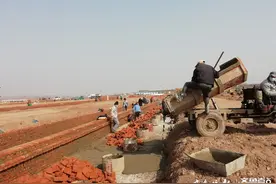 年出栏4万头 胶州最大生猪养殖基地加速建设图片