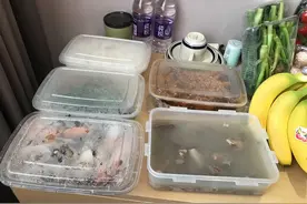 营养便当配送一个多月，工程郎“疫”线守护医护妻子图片