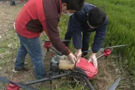 无人机飞防，一台每天可防治三百亩视频封面