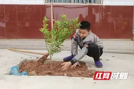 赫山区泥江口镇中心学校：我和春天合个影图片