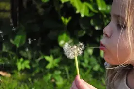 会偷3种懒，享尽一生福（值得收藏）图片