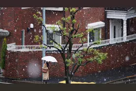 日本东京突迎降雪